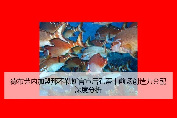 de-bu-lao-nei-jia-meng-na-bu-le-si-guan-xuan-hou-kong-di-zhong-qian-chang-chuang-zao-li-fen-pei-shen-du-fen-xi-2-149.jpg
